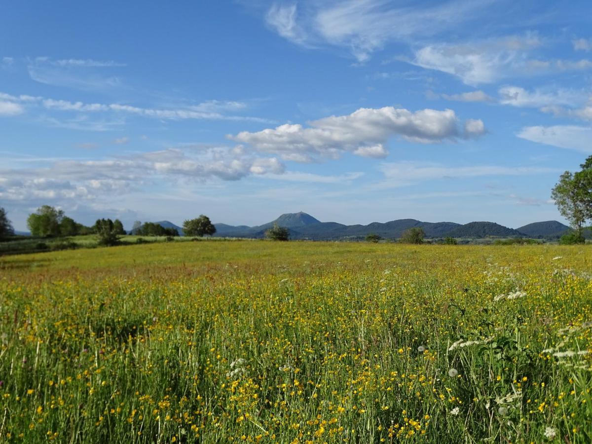 Logis Las Crozas La Cocotte Vernines Εξωτερικό φωτογραφία